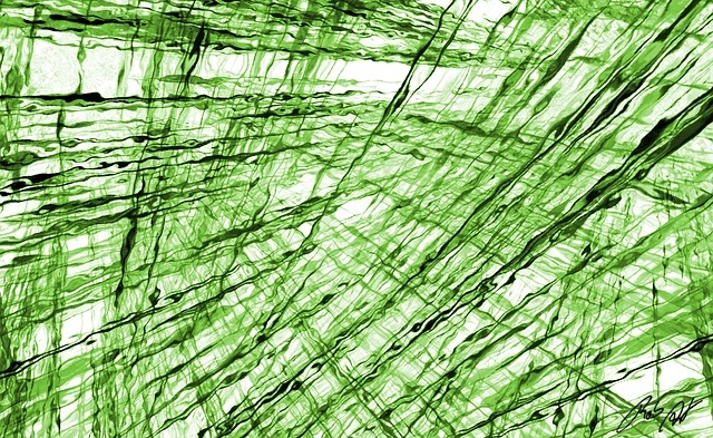 Notre conception de l'évaluation externe. Evaluer c'est extraire la valeur